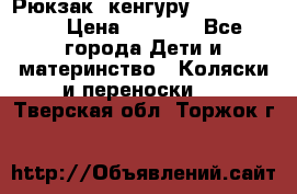 Рюкзак -кенгуру Baby Bjorn  › Цена ­ 2 000 - Все города Дети и материнство » Коляски и переноски   . Тверская обл.,Торжок г.
